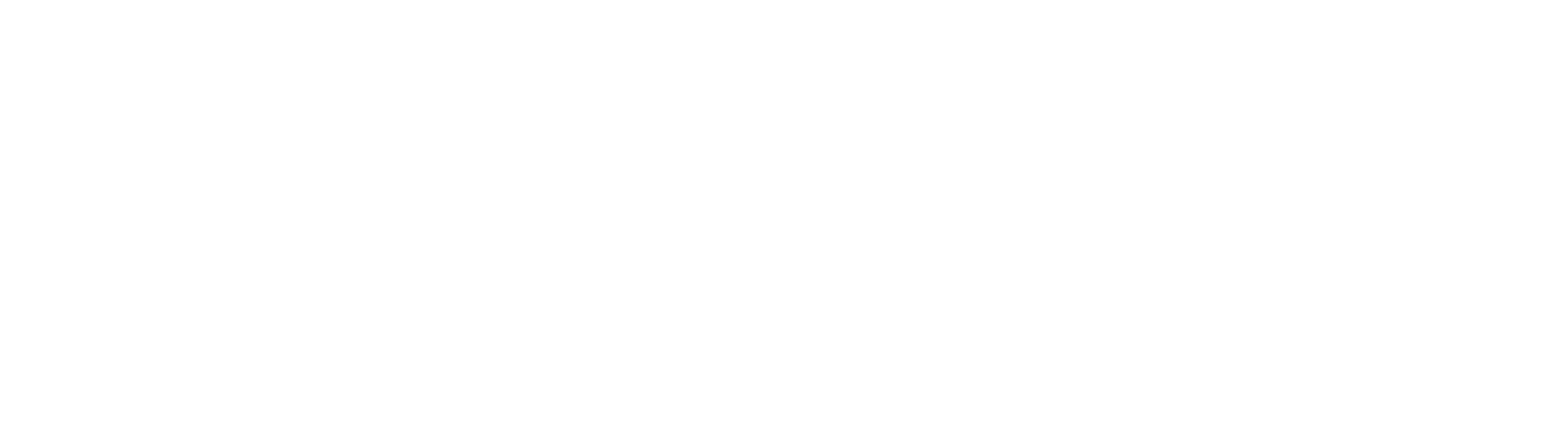 ISE AVIATION SERVICE LIMITED